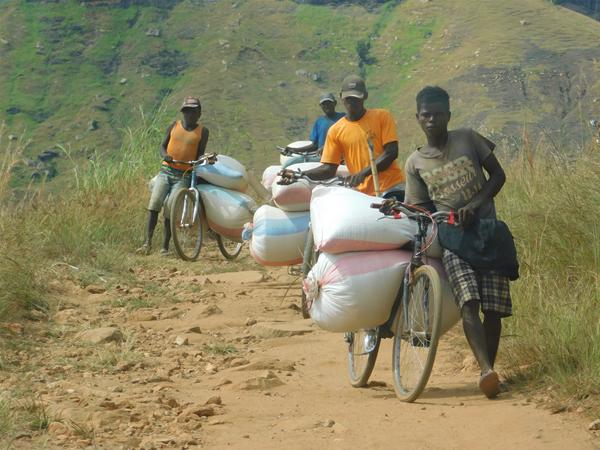 Bikes in Madagascar(1).JPG